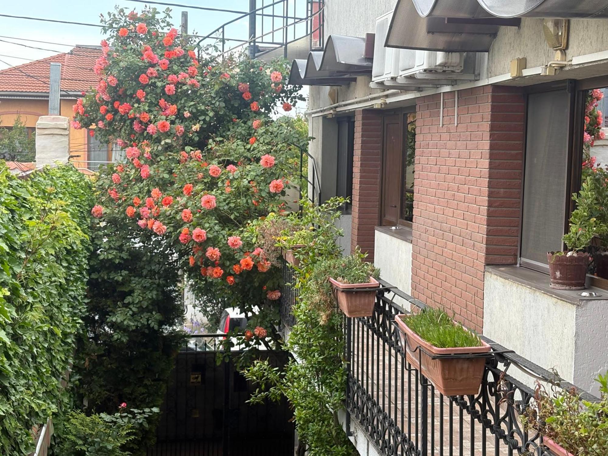 Casa Elisabeta Constanta 호텔 외부 사진